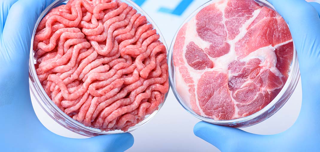 Cell cultured foods testing