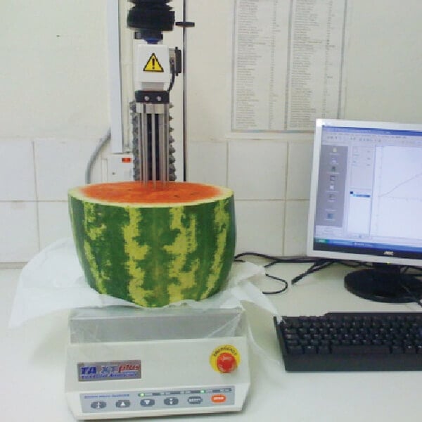 Melon testing