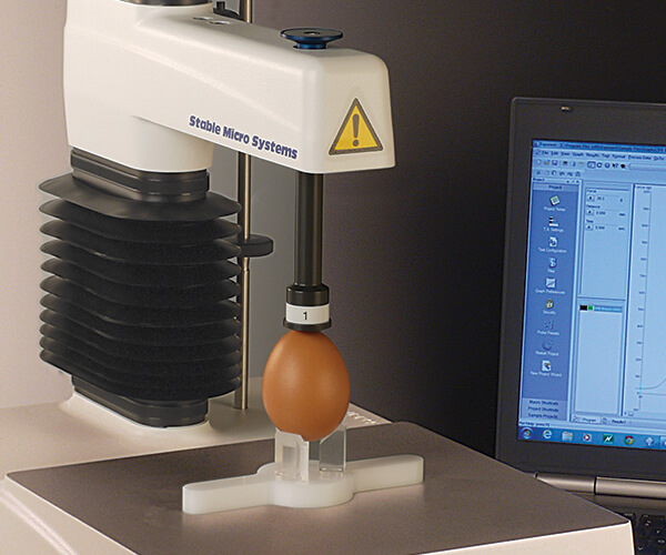 Egg Quality Testing System