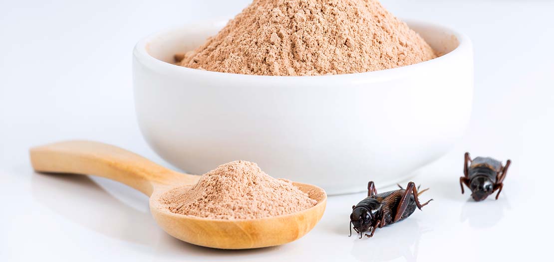 Foods containing insects are on the rise. Cricket Powder.