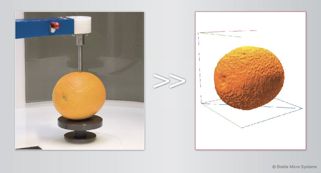 Orange sample ready for scanning >> Archived scan of sample