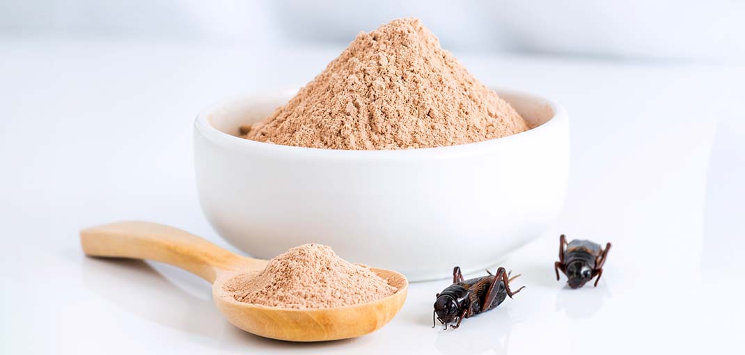 Foods containing insects testing