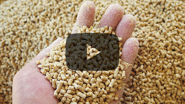 Measuring powder flow video - Nuts, seeds and pulses