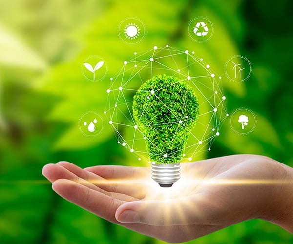 Green bulb environmental image