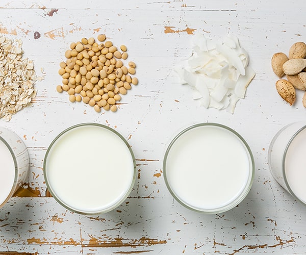 Plant based dairy alternatives – oat, pea, coconut and almond milks