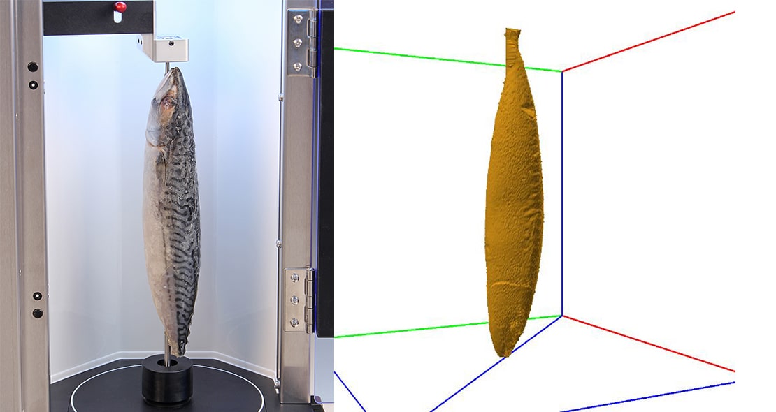 Volscan Profiler with fish sample and typical scan