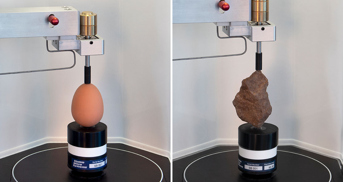 Examples of weighted sample supports holding an egg and a rock